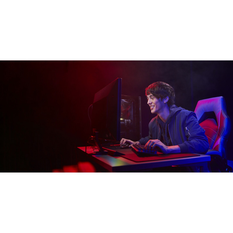 1558549-5.jpg