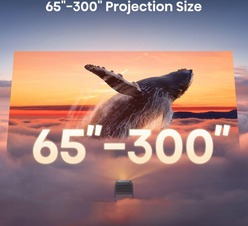 1478147_8.jpg
